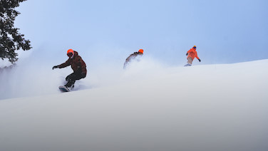 Image for: MIDWEEK PASS